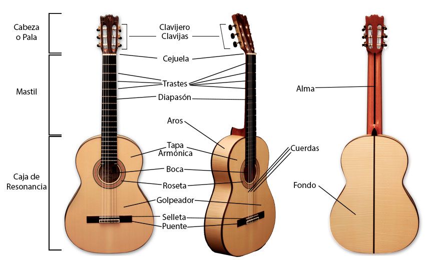 Partes de la Guitarra Flamenca