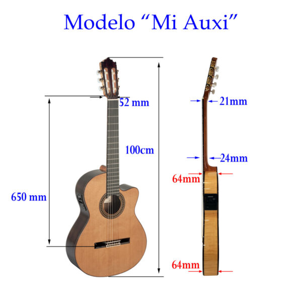 Mi Auxi - Guitarra de Paco Castillo tipo Cutaway de la Serie Thin Body. Clásica.